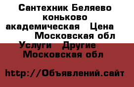 Сантехник Беляево коньково академическая › Цена ­ 1 000 - Московская обл. Услуги » Другие   . Московская обл.